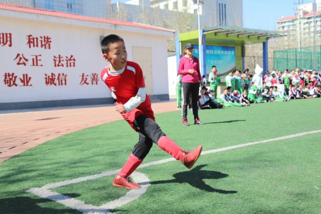 教师就业形势变化，退出机制陆续实施